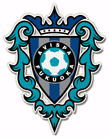 Avispa Fukuoka